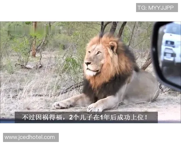 南墨尔本与布琳狮子激战正酣谁能在这场对决中笑到最后